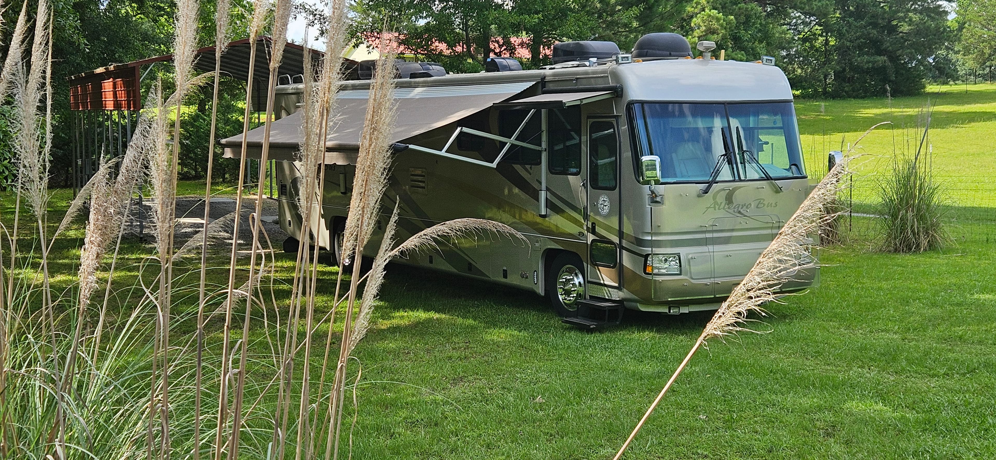 Beautiful Allegro Bus